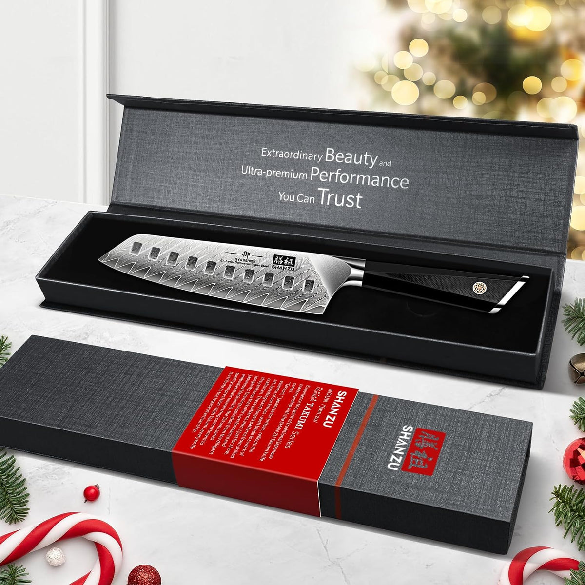 Damascus Chef Knife 8 inch, 67-Layer High Carbon Steel