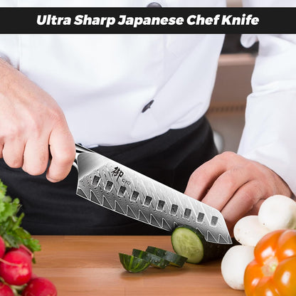 Damascus Chef Knife 8 inch, 67-Layer High Carbon Steel
