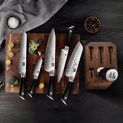 Damascus Chef Knife 8 inch, 67-Layer High Carbon Steel