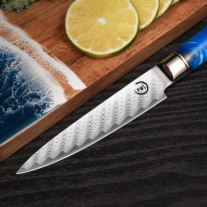 5 Inch Kitchen Utility Knife, Damascus Paring Knife Japanese VG10 Steel | 66-Layers Damascus Fruit Knife, Ultra Sharp Blade, Ergonomic Blue Resin Handle, Unique Gift for Men Women Cooking Enthusiasts