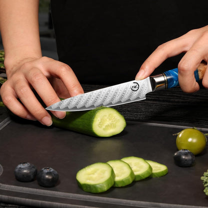 5 Inch Kitchen Utility Knife, Damascus Paring Knife Japanese VG10 Steel | 66-Layers Damascus Fruit Knife, Ultra Sharp Blade, Ergonomic Blue Resin Handle, Unique Gift for Men Women Cooking Enthusiasts