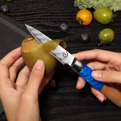 5 Inch Kitchen Utility Knife, Damascus Paring Knife Japanese VG10 Steel | 66-Layers Damascus Fruit Knife, Ultra Sharp Blade, Ergonomic Blue Resin Handle, Unique Gift for Men Women Cooking Enthusiasts