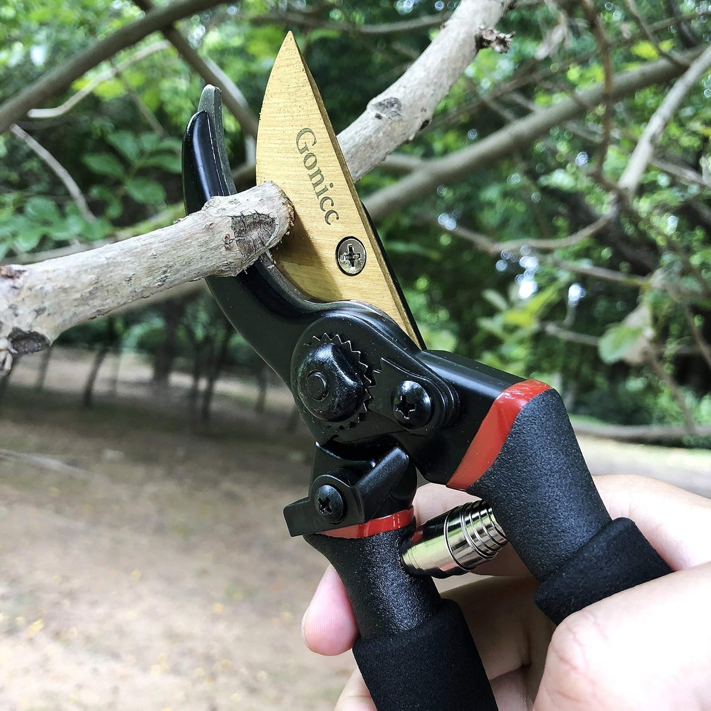 8" Professional Premium Bypass Titanium Pruning Shears(GPPS-1003) | Titanium coated SK5 steel blade, Ergonomic non-slip handle, Sap groove anti-stick design, Cuts up to 3/4" branches