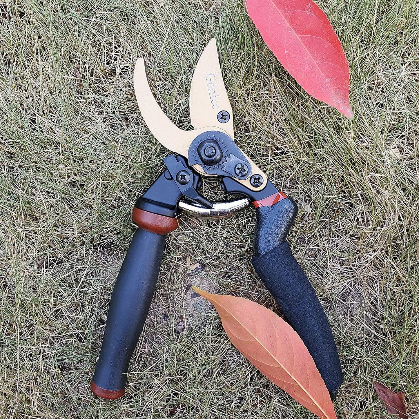 8" Professional Premium Bypass Titanium Pruning Shears(GPPS-1003) | Titanium coated SK5 steel blade, Ergonomic non-slip handle, Sap groove anti-stick design, Cuts up to 3/4" branches