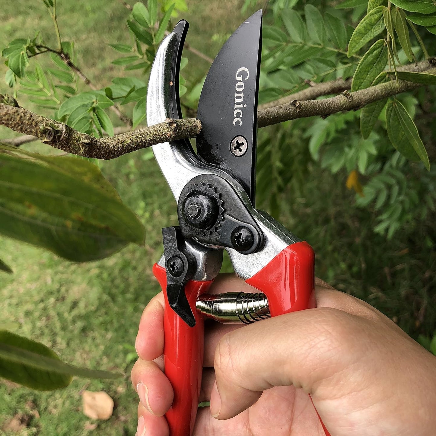 8" Professional Premium Bypass Titanium Pruning Shears(GPPS-1003) | Titanium coated SK5 steel blade, Ergonomic non-slip handle, Sap groove anti-stick design, Cuts up to 3/4" branches