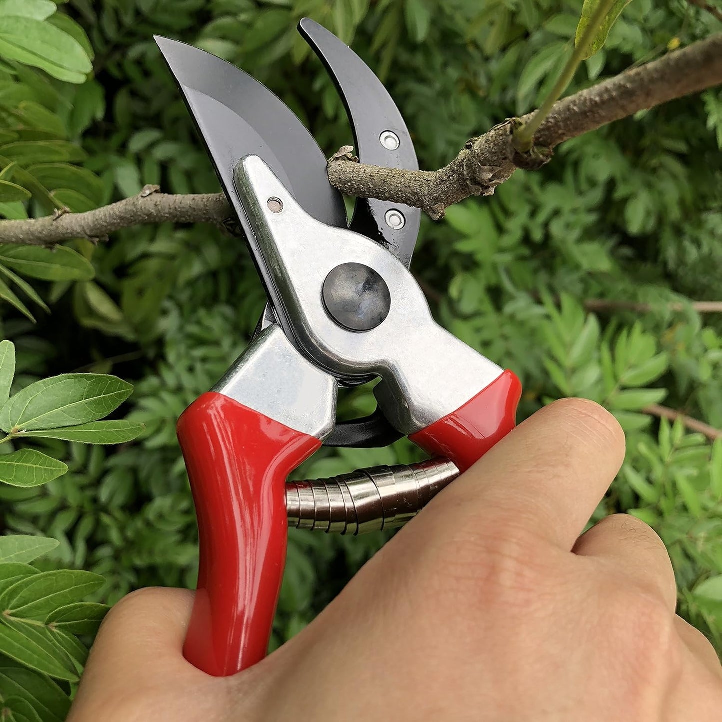 8" Professional Premium Bypass Titanium Pruning Shears(GPPS-1003) | Titanium coated SK5 steel blade, Ergonomic non-slip handle, Sap groove anti-stick design, Cuts up to 3/4" branches