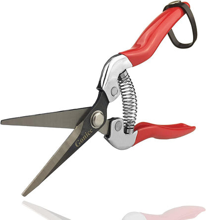 8" Professional Premium Bypass Titanium Pruning Shears(GPPS-1003) | Titanium coated SK5 steel blade, Ergonomic non-slip handle, Sap groove anti-stick design, Cuts up to 3/4" branches