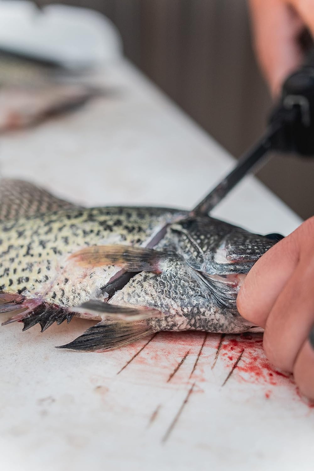 Electric Fillet Knife with Rechargeable Battery, 8" Blade, High Carbon Stainless Steel, For Fishing, Filleting, and Outdoors