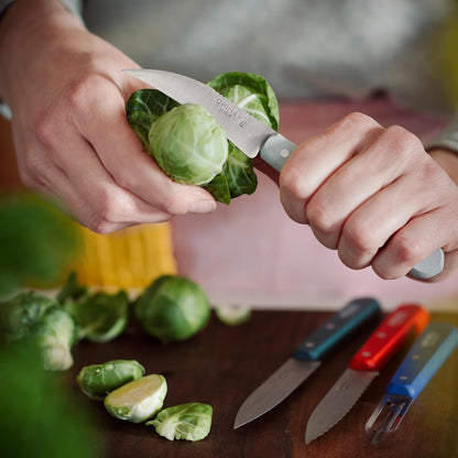 Les Essentials 4 Piece Kitchen Prep Knife Set, Wood Handles (Primo)
