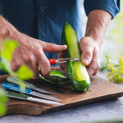 Les Essentials 4 Piece Kitchen Prep Knife Set, Wood Handles (Primo)