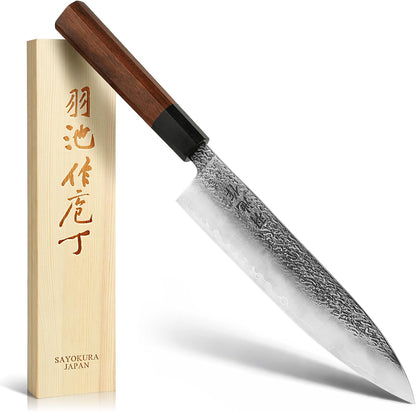 Japanese Chef Knife, Professional Kitchen Knives with VG10 Steel Core, 8.27 Inch Handcrafted Gyuto Knife with Ergonomic Rosewood Handle & Wooden Gift Box, Ultra Sharp Cooking Gifts for Chefs Men Women
