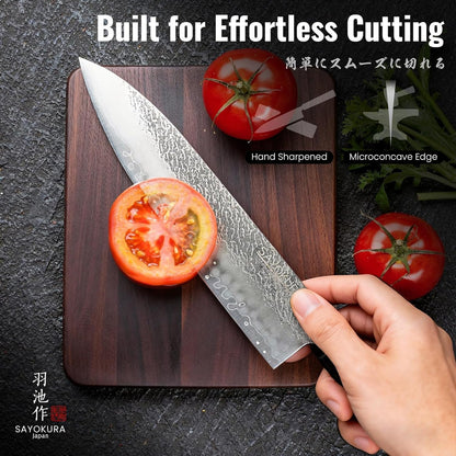 Japanese Chef Knife, Professional Kitchen Knives with VG10 Steel Core, 8.27 Inch Handcrafted Gyuto Knife with Ergonomic Rosewood Handle & Wooden Gift Box, Ultra Sharp Cooking Gifts for Chefs Men Women