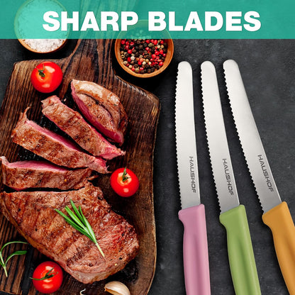 Steak Knives Set of 4, Serrated Steak Knives, Premium Stainless Steel Steak Knife Set with Gift Box, Assorted Color