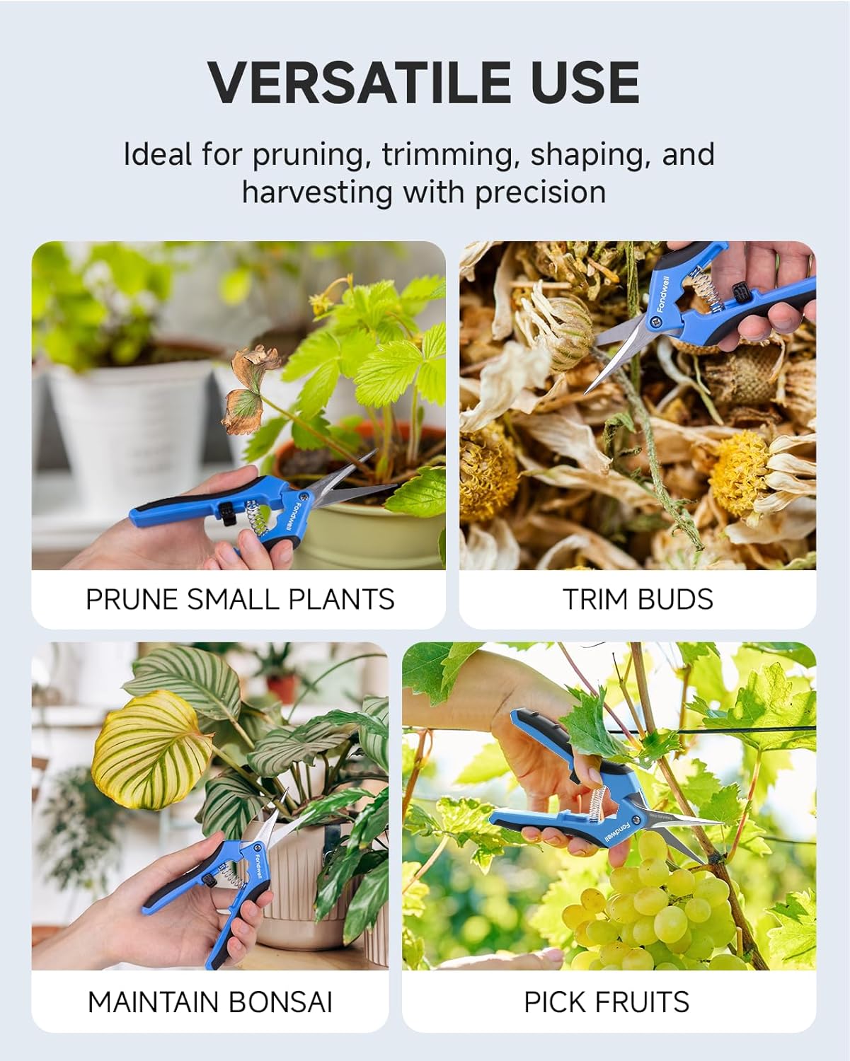 6.5" Small Pruning Shears Garden Snips Precision Trimming Scissors | 2-Pack Plant Scissors, Ultra-Sharp Micro-Tip Straight & Curved Blades, Fatigue-Free - for Flower, Bonsai, Detailed Gardening
