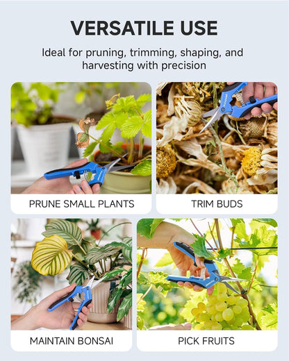 6.5" Small Pruning Shears Garden Snips Precision Trimming Scissors | 2-Pack Plant Scissors, Ultra-Sharp Micro-Tip Straight & Curved Blades, Fatigue-Free - for Flower, Bonsai, Detailed Gardening
