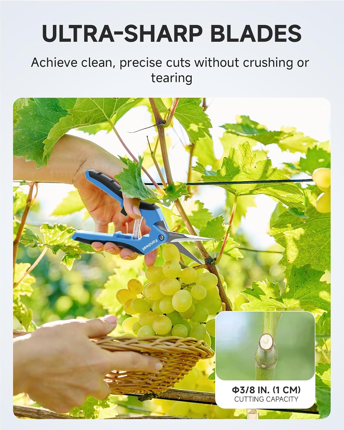 6.5" Small Pruning Shears Garden Snips Precision Trimming Scissors | 2-Pack Plant Scissors, Ultra-Sharp Micro-Tip Straight & Curved Blades, Fatigue-Free - for Flower, Bonsai, Detailed Gardening