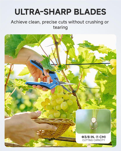 6.5" Small Pruning Shears Garden Snips Precision Trimming Scissors | 2-Pack Plant Scissors, Ultra-Sharp Micro-Tip Straight & Curved Blades, Fatigue-Free - for Flower, Bonsai, Detailed Gardening