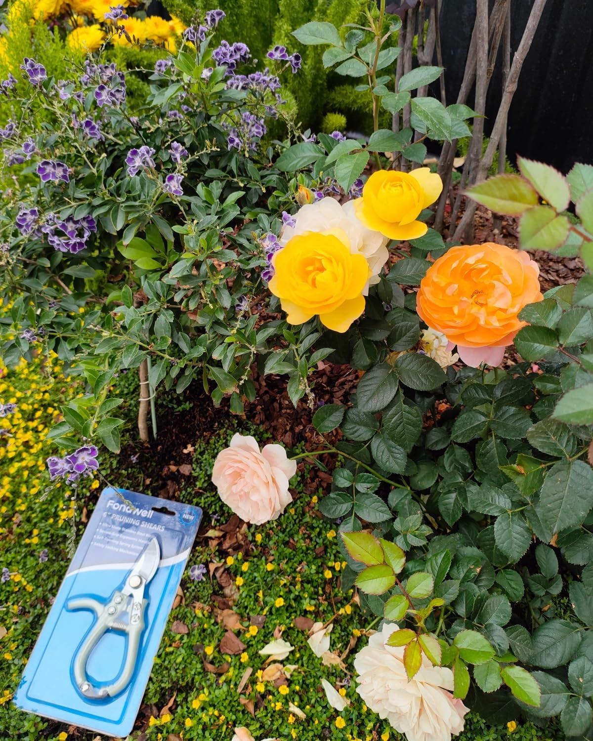 6.5" Small Pruning Shears Garden Snips Precision Trimming Scissors | 2-Pack Plant Scissors, Ultra-Sharp Micro-Tip Straight & Curved Blades, Fatigue-Free - for Flower, Bonsai, Detailed Gardening
