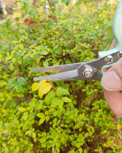 6.5" Small Pruning Shears Garden Snips Precision Trimming Scissors | 2-Pack Plant Scissors, Ultra-Sharp Micro-Tip Straight & Curved Blades, Fatigue-Free - for Flower, Bonsai, Detailed Gardening