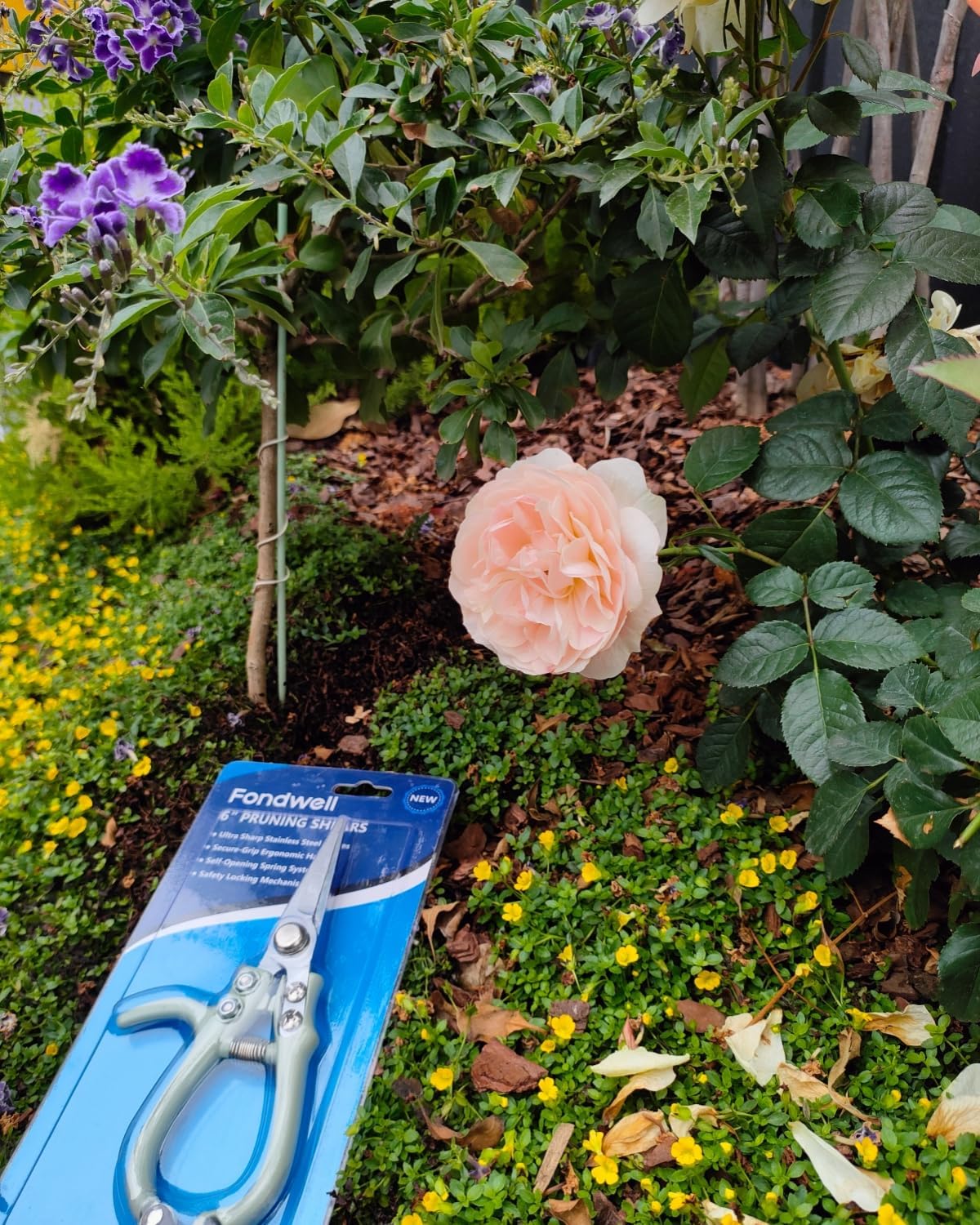 6.5" Small Pruning Shears Garden Snips Precision Trimming Scissors | 2-Pack Plant Scissors, Ultra-Sharp Micro-Tip Straight & Curved Blades, Fatigue-Free - for Flower, Bonsai, Detailed Gardening
