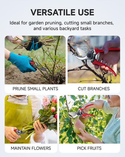6.5" Small Pruning Shears Garden Snips Precision Trimming Scissors | 2-Pack Plant Scissors, Ultra-Sharp Micro-Tip Straight & Curved Blades, Fatigue-Free - for Flower, Bonsai, Detailed Gardening