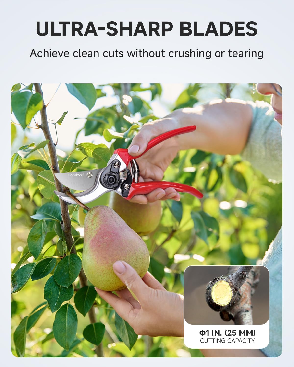 6.5" Small Pruning Shears Garden Snips Precision Trimming Scissors | 2-Pack Plant Scissors, Ultra-Sharp Micro-Tip Straight & Curved Blades, Fatigue-Free - for Flower, Bonsai, Detailed Gardening