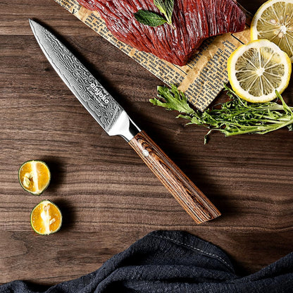 Aisyoko 5-Inch Paring Knife - Japanese VG-10 Super Steel 67-Layer Damascus Blade - Fruit Utility Knife for Carving & Peeling - Luxury Gift Box with Color Wooden Handle - Includes Scabbard