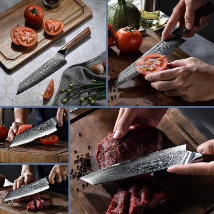 Aisyoko 5-Inch Paring Knife - Japanese VG-10 Super Steel 67-Layer Damascus Blade - Fruit Utility Knife for Carving & Peeling - Luxury Gift Box with Color Wooden Handle - Includes Scabbard
