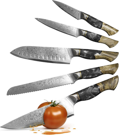 Damascus Kitchen Knife Set | 67-Layer Damascus Steel | Professional Japanese Chef Knife Set | Ergonomic Wood & Resin Handle | Gift Box Included (Black, 5-Piece Set)