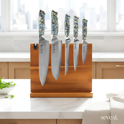 Damascus Kitchen Knife Set | 67-Layer Damascus Steel | Professional Japanese Chef Knife Set | Ergonomic Wood & Resin Handle | Gift Box Included (Black, 5-Piece Set)