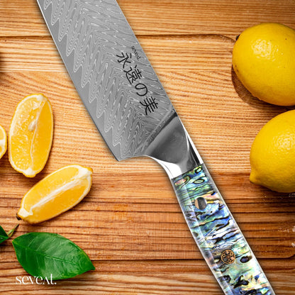 Damascus Kitchen Knife Set | 67-Layer Damascus Steel | Professional Japanese Chef Knife Set | Ergonomic Wood & Resin Handle | Gift Box Included (Black, 5-Piece Set)