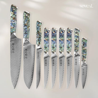 Damascus Kitchen Knife Set | 67-Layer Damascus Steel | Professional Japanese Chef Knife Set | Ergonomic Wood & Resin Handle | Gift Box Included (Black, 5-Piece Set)