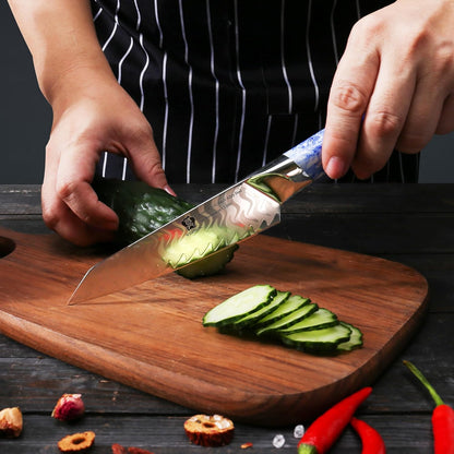 Utility Knife 5 Inch, Ultra Sharp Kitchen Fruit Knives, 7 Layer Alloy Steel Peeling Knife with Resin Handle - Qing Series