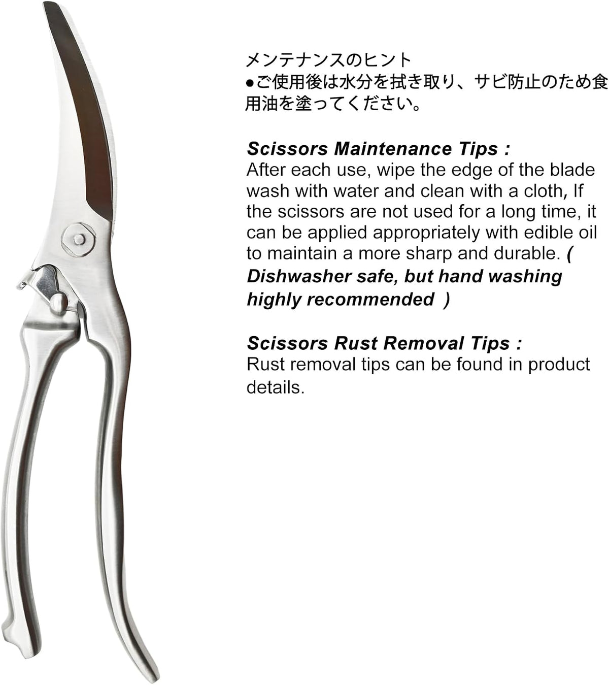 TONMA Kitchen Scissors All Purpose, Made in Japan, Stainless Steel, TK-2