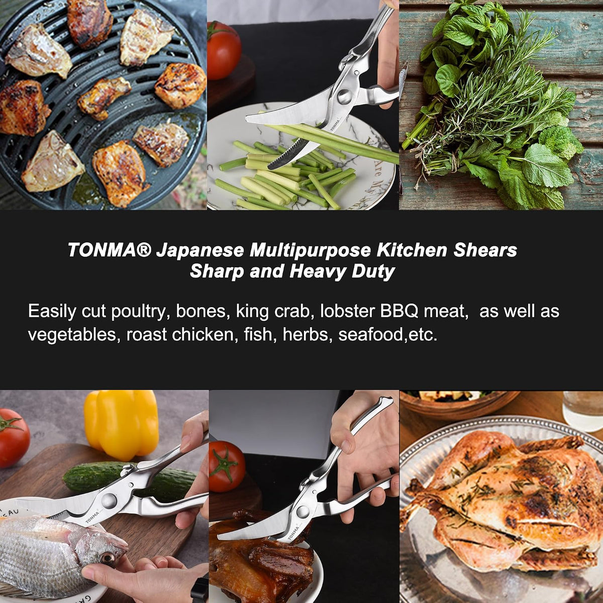TONMA Kitchen Scissors All Purpose, Made in Japan, Stainless Steel, TK-2