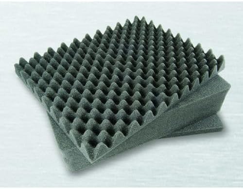 1150 Case With Foam (Black)