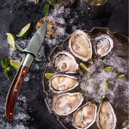Oyster Shucker, Oyster Shucking Knife for Oyster Clam Pearl Shell Shucking, 2 Set Oyster Shucking Tool Kit, 2 Stainless Steel Oyster Knifes with Wooden Handle 2 Pairs Oyster Shucking Gloves