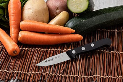 Rivet Paring Knife 3 Inch Stainless Steel. Kitchen Knife for Peeling Fruits and Vegetables. Ergonomic Polyoxymethylene Handle and 75mm Blade. Series Universal. Color Black