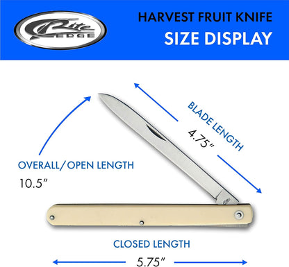 SZCO Harvest Fruit Knife – Pocket Knife with 5.75" Folding Stainless Steel Blade, Alabaster Handle & Nylon Sheath for Gardening, Orchard Harvest, Fruit Picking, Kitchen Prep & Everyday Carry EDC