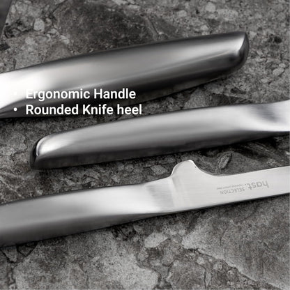 HAST 5-inch Boning Knife, Ultra-Sharp, Professional Fillet Knife, Japanse Carbon Steel, Sleek Design, Ergonomic, Lightweight, Minimalist Kitchen Décor, Premium Gift Box