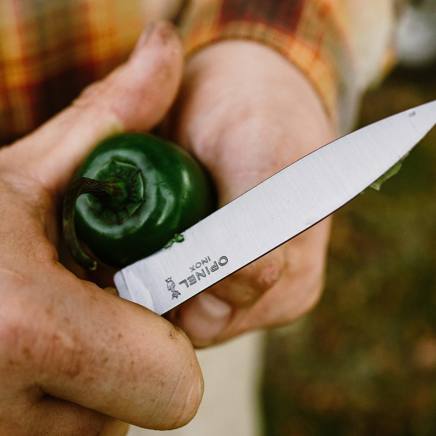 No. 112 Essential Paring Knife, Plain Edge, Hornbeam Wood (Purple)