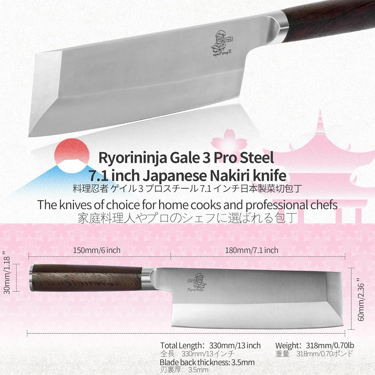 Dexter Fish Fillet Knife 8.5 inch Japanese Steel Honesuki, Professional stainless Steel Kitchen Chef Boing Knife for cooking with Gift Box for Men and Women (8.5" Fillet)