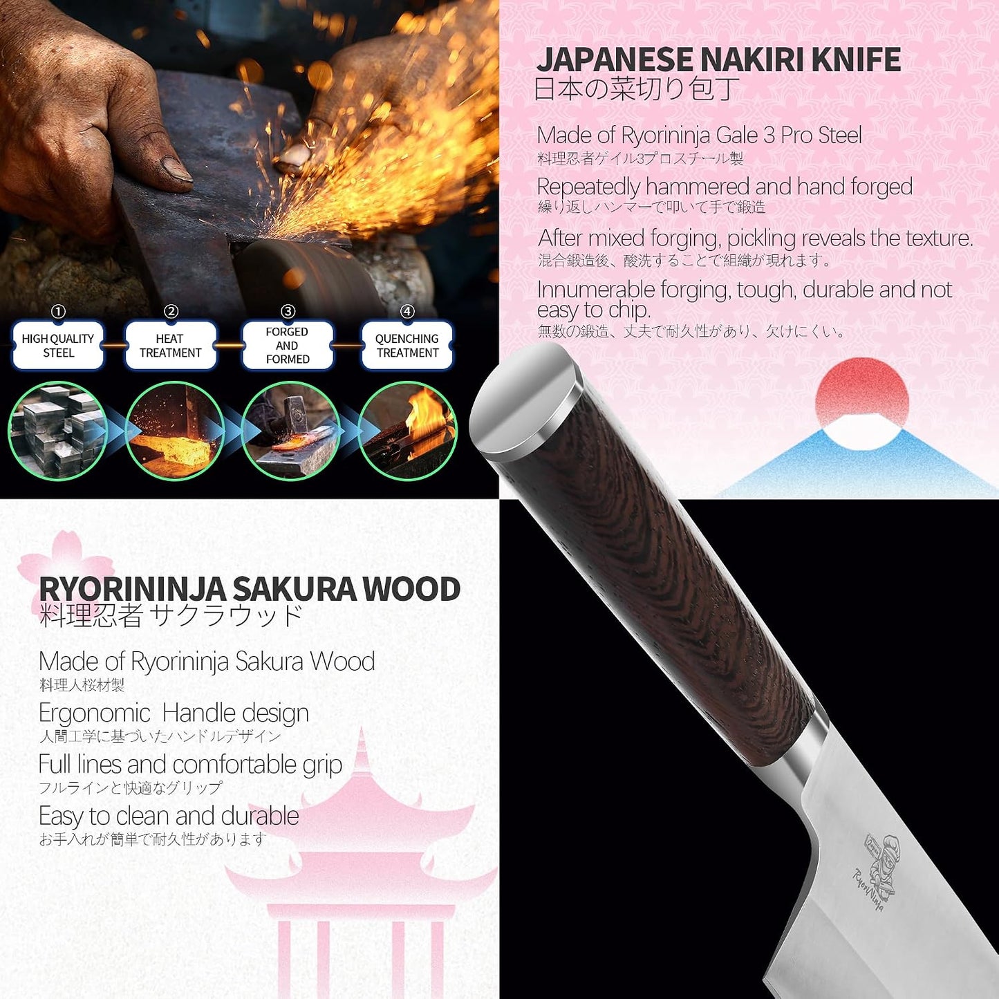Dexter Fish Fillet Knife 8.5 inch Japanese Steel Honesuki, Professional stainless Steel Kitchen Chef Boing Knife for cooking with Gift Box for Men and Women (8.5" Fillet)