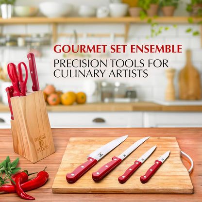 14 Pcs Kitchen Knife Set with Block, Stainless Steel | Premium forged kitchen knives with high-carbon sharp blades, ergonomic handle, rust-resistant knife block set for home & chef