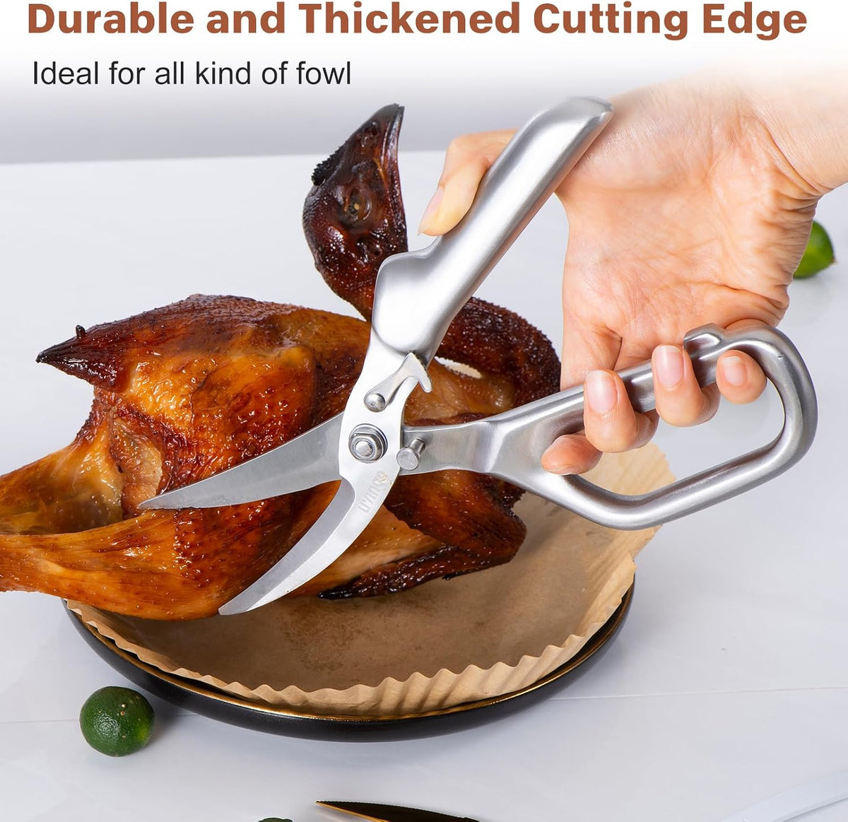 8.5" Kitchen Shears Heavy Duty Forged Stainless Steel Scissors