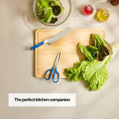 Heavy Duty Kitchen Shears - Comfortable Ambidextrous Scissors for Meat, Poultry, Herbs & More - Easy to Clean - German Stainless Steel - Large | Green