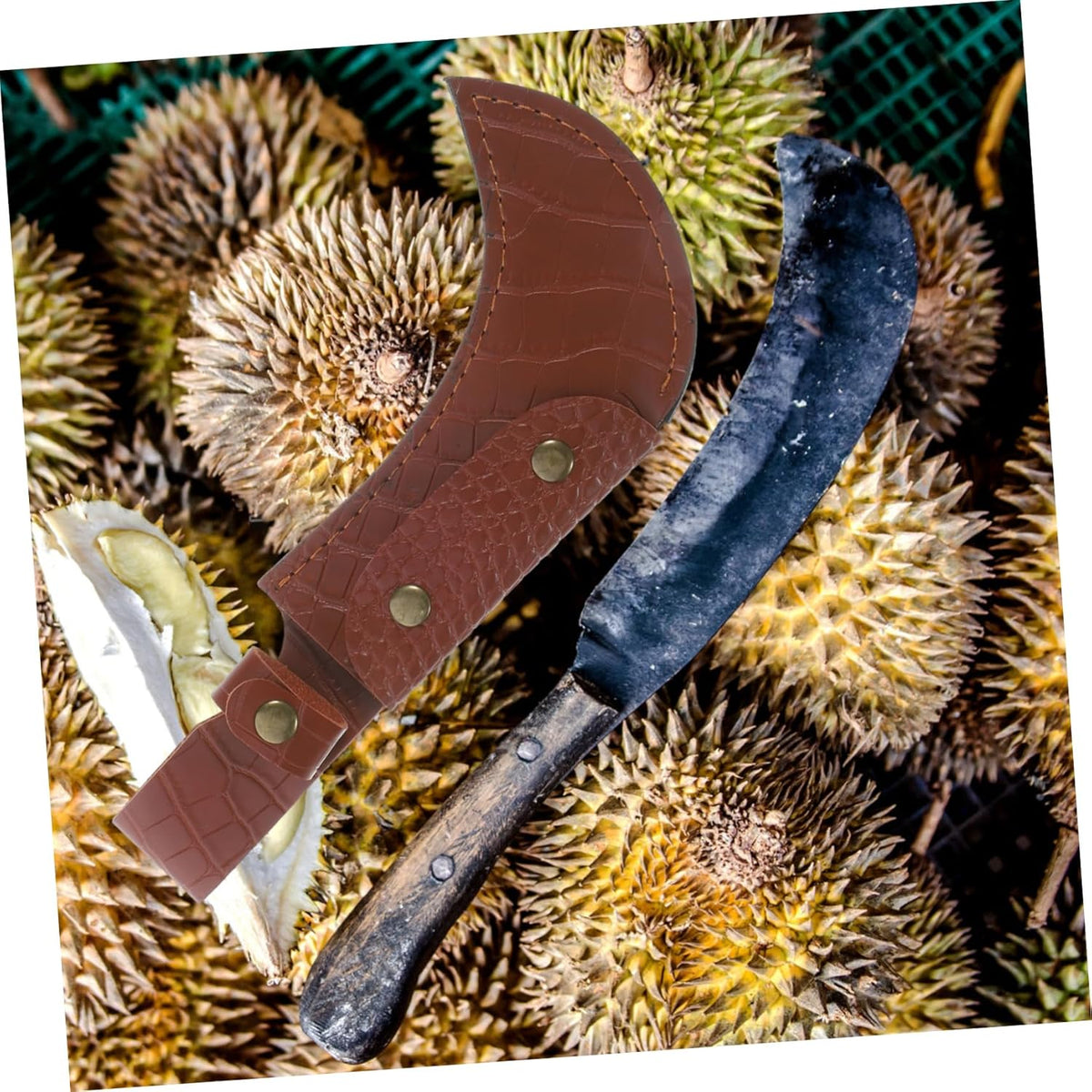 Scimitar Fruit Knife Blade Banana Cutter Grapefruit Knife Protective Case Leather Scabbard Cover