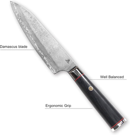 7.5" Japanese Gyuto Chef Knife With Pakkawood Handle | 9Cr18MoV High Carbon Stainless Steel, Sharp Blade, Damascus Finish, Gift Box Included