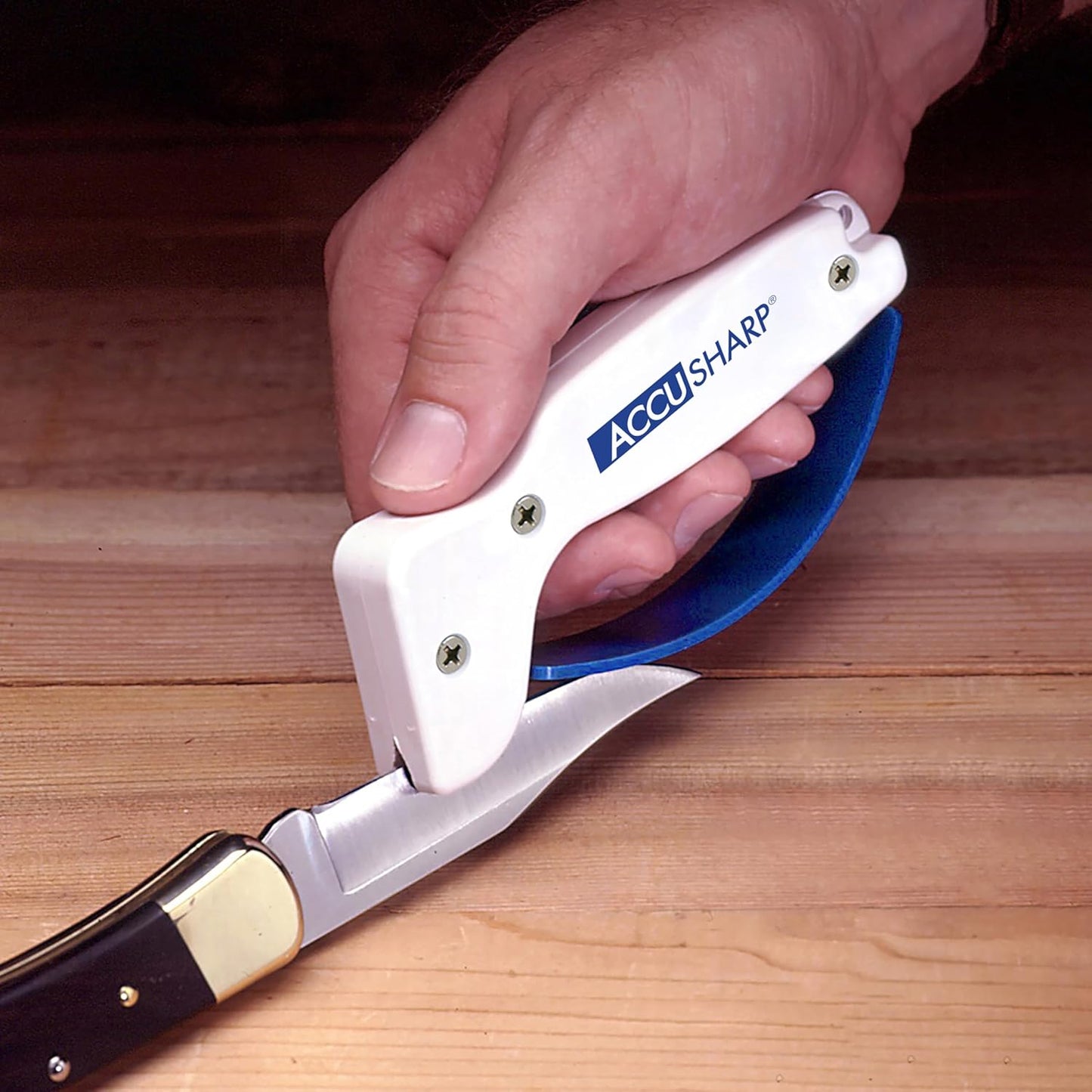 AccuSharp Knife Sharpener, Ergonomic Comfortable Handle, Compact & Easy to Use, Restore and Hone Straight & Serrated Knives, White