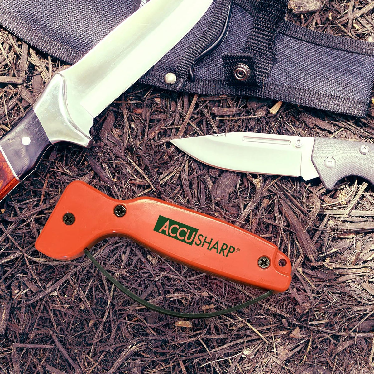 AccuSharp Knife Sharpener, Ergonomic Comfortable Handle, Compact & Easy to Use, Restore and Hone Straight & Serrated Knives, White